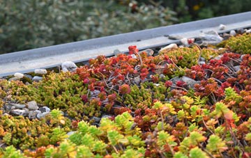the cost of Moonzie green roof installation