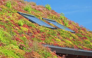 Moonzie living roof systems