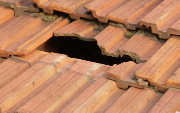 roof repair Moonzie, Fife